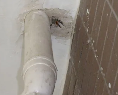 老城漏水检测哪家好